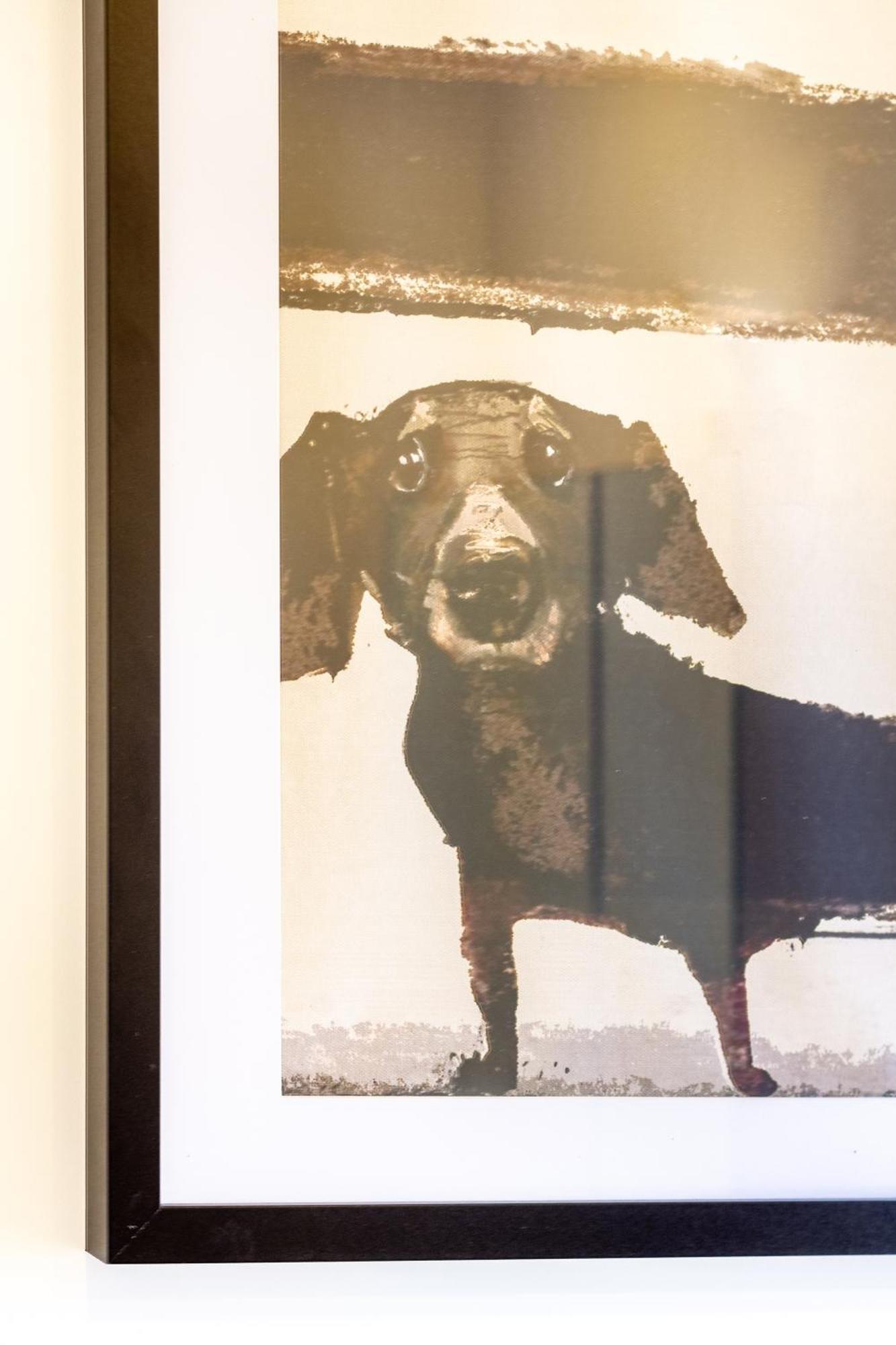 Central City Charm: Pet-Friendly Studio Christchurch Eksteriør billede