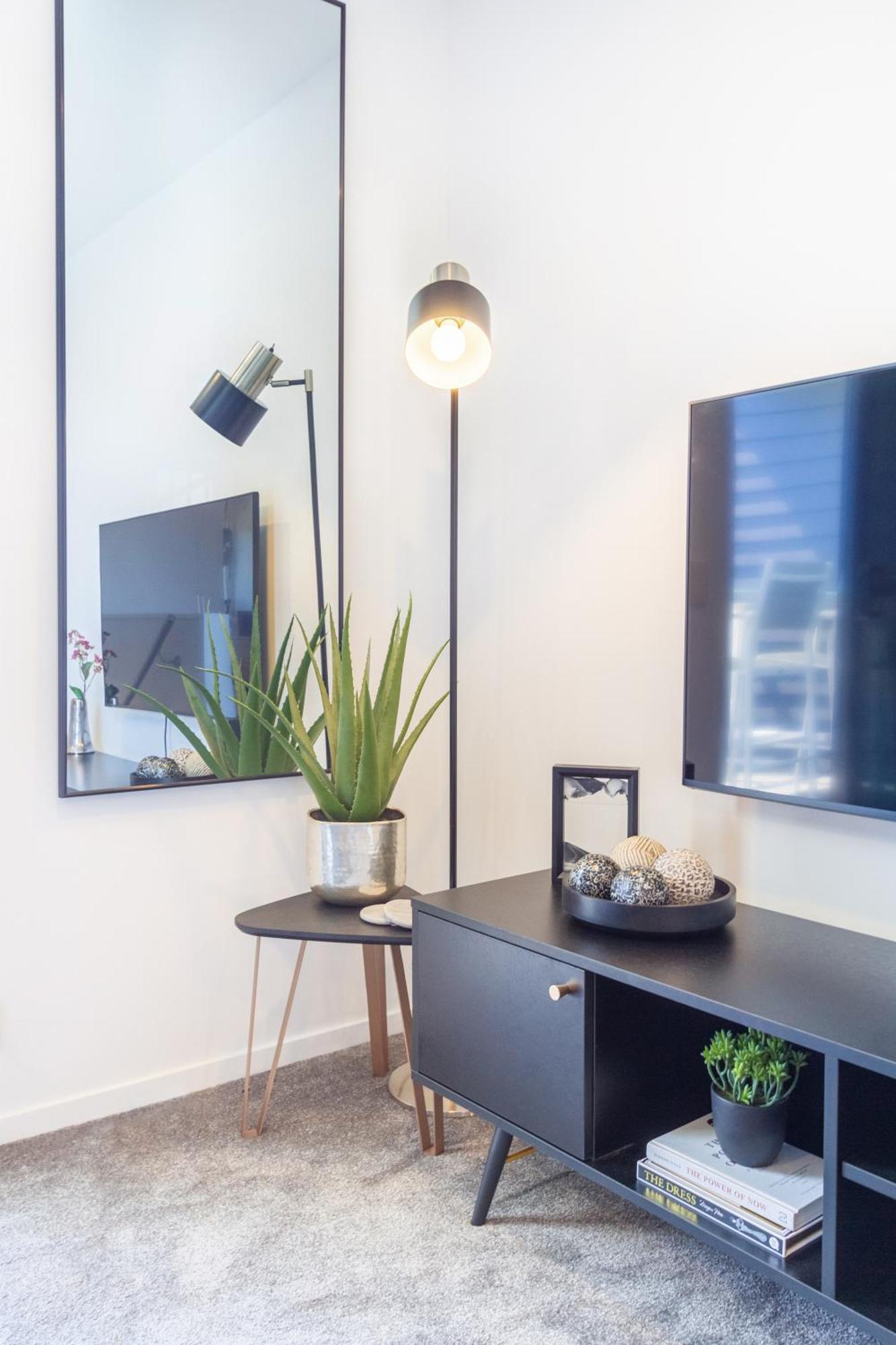 Central City Charm: Pet-Friendly Studio Christchurch Eksteriør billede