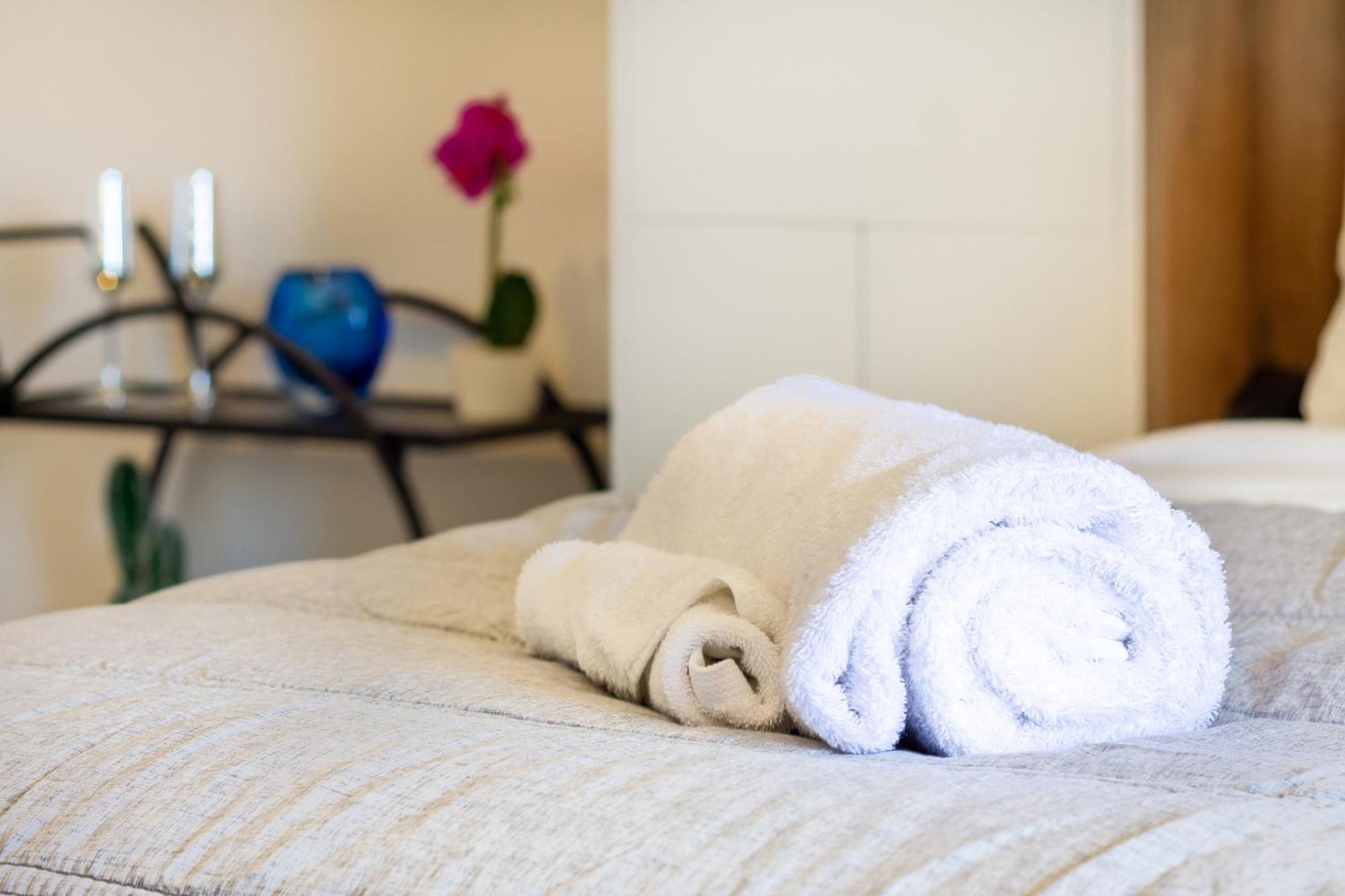 Central City Charm: Pet-Friendly Studio Christchurch Eksteriør billede