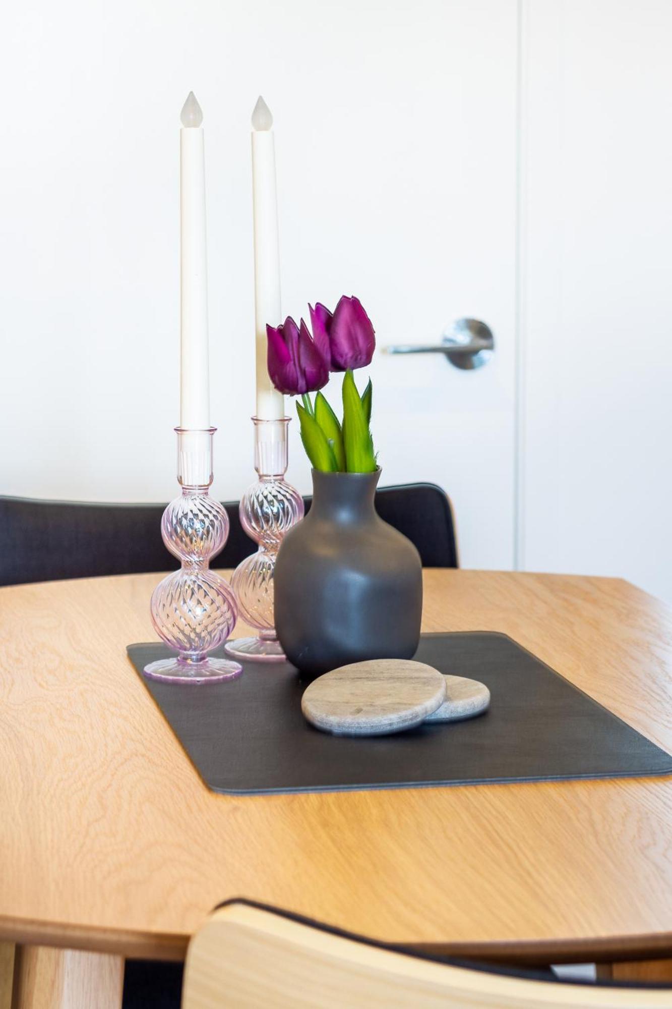 Central City Charm: Pet-Friendly Studio Christchurch Eksteriør billede